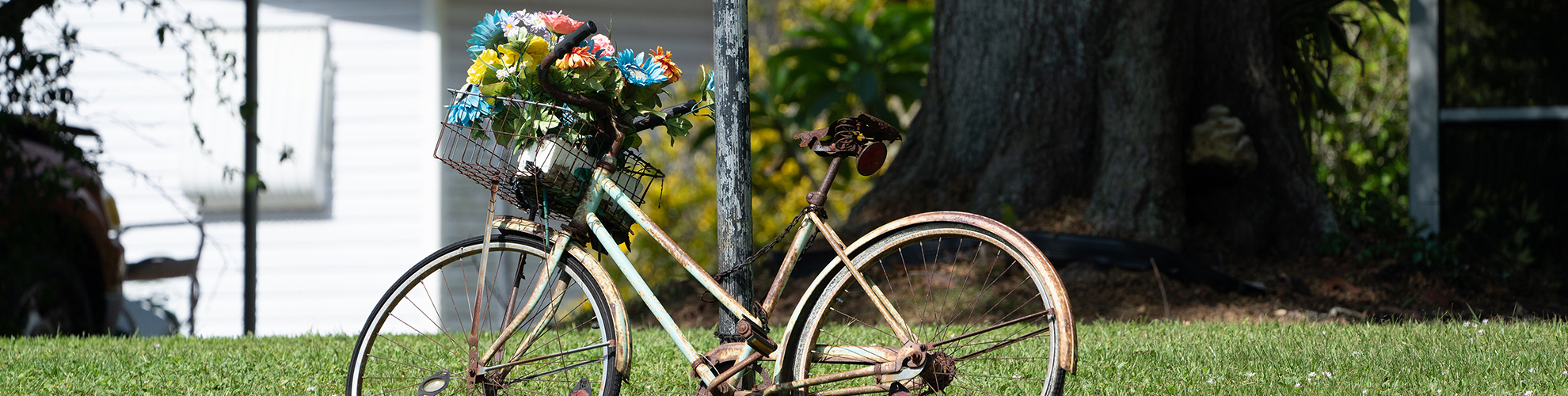 Photo of old bicylce with flowers in basket against a pole